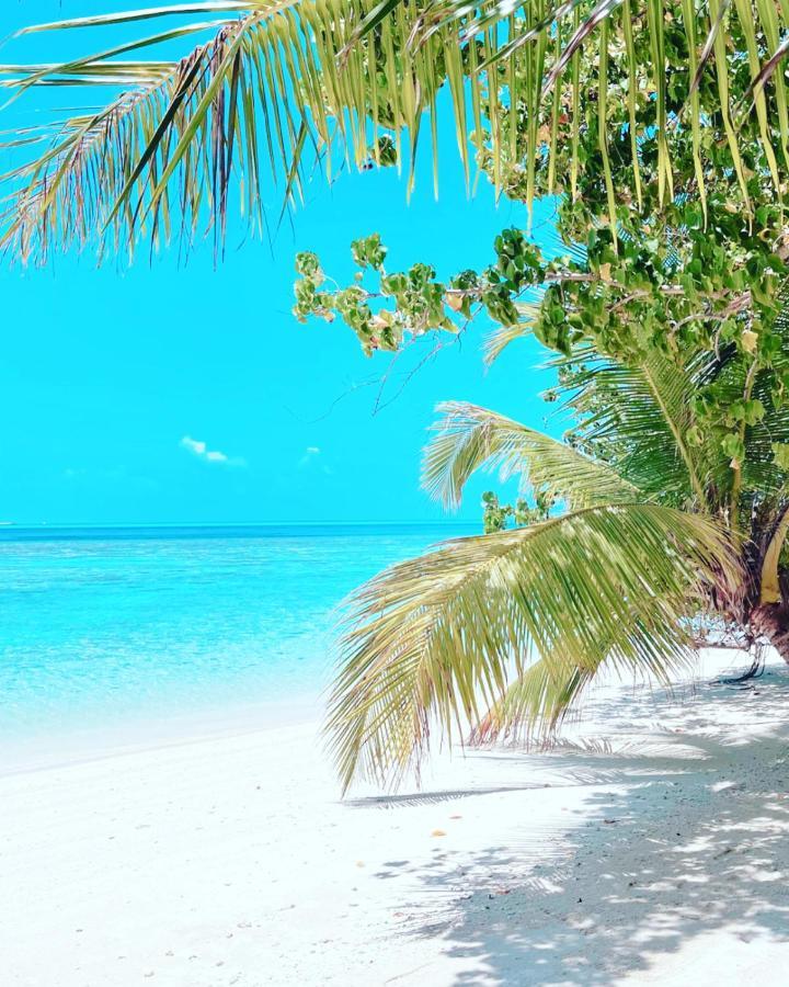 Rising Sun Beach View Thinadhoo  Eksteriør billede